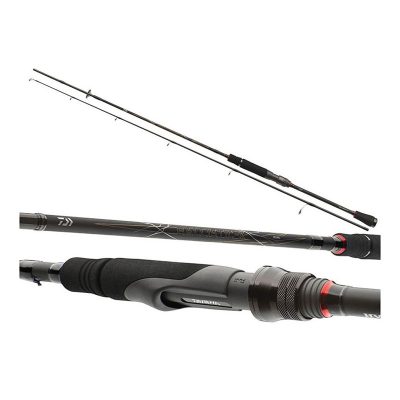 Štap DAIWA BALISTIC X 2.70m 30-70g